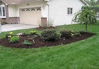 Complete Landscaping Services Commerce MI | Squeals Landscaping - landscaping-2-plant-area